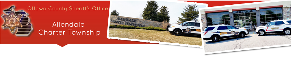 allendale charter township library