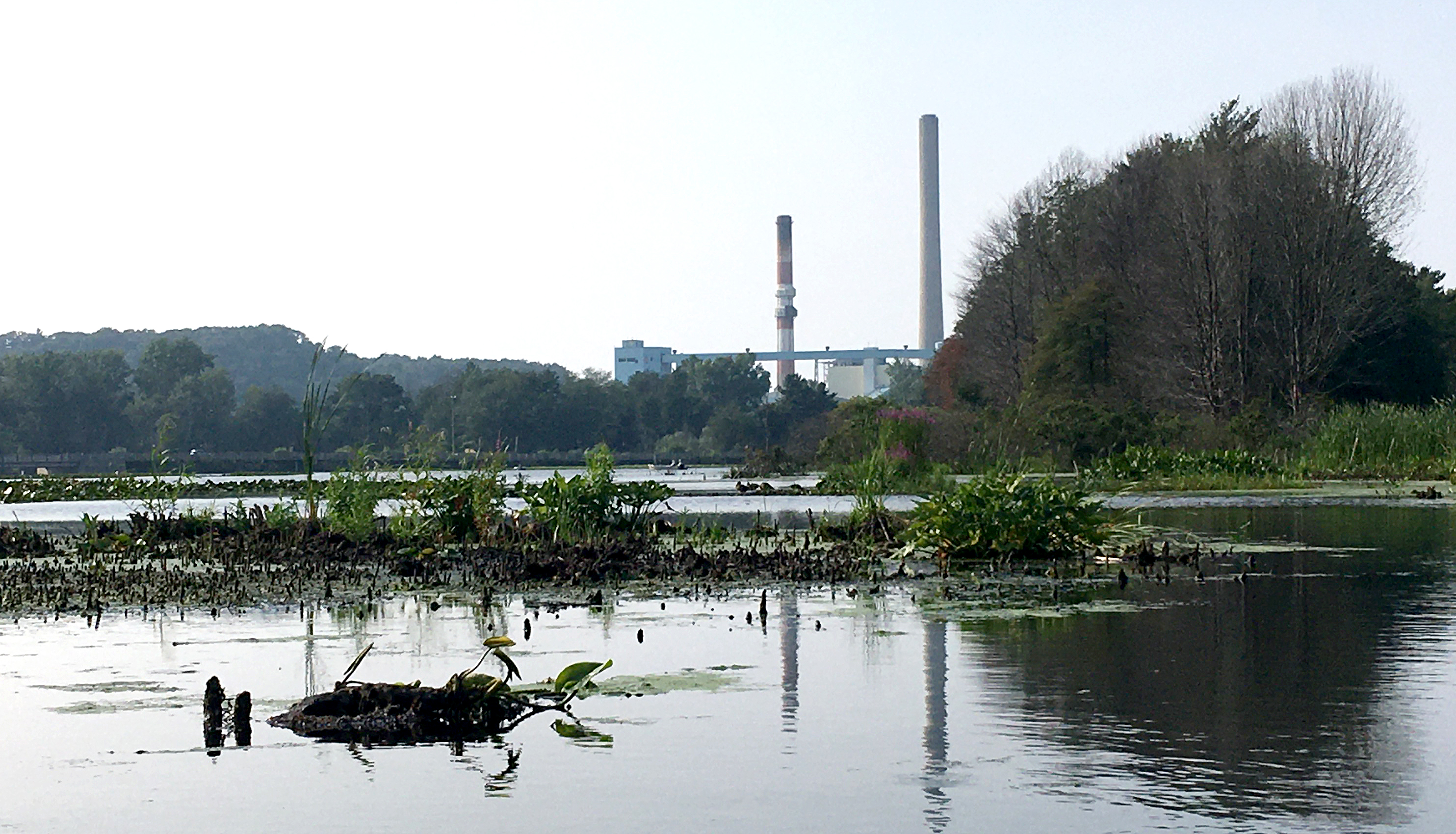 JH Campbell Plant