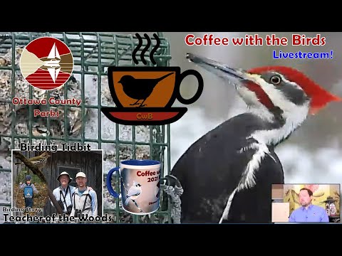 Coffee with the Birds