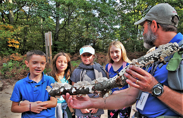An educator showing a group of children lichen and fungus on a tree branch