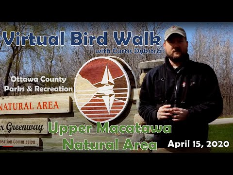 Virtual Bird Walks