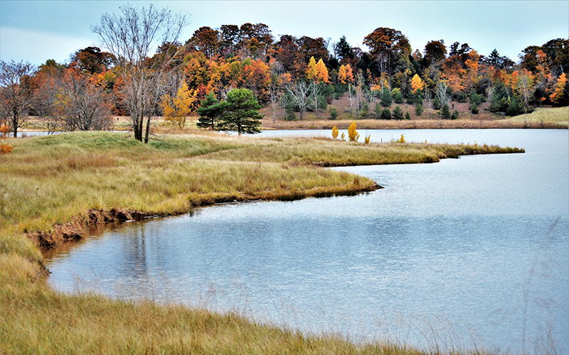 Image of the shoreline of Ottawa Sands in the fall