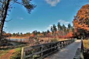 Riley Trails in the Fall