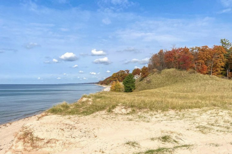 Windsnest Park shoreline