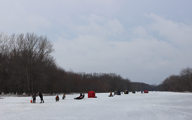 Eastmanville Bayou in Winter