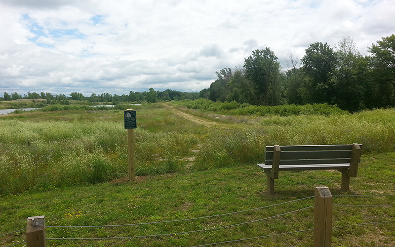 Grand River Open Space Bench Lookout