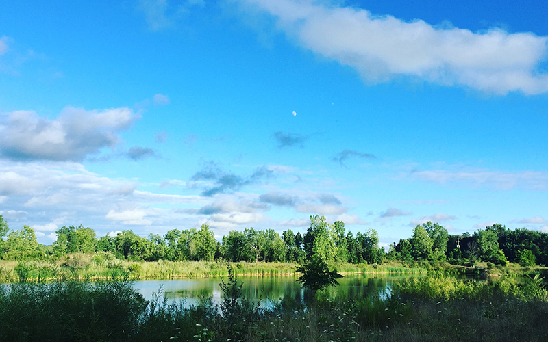 Grand River Open Space Landscape