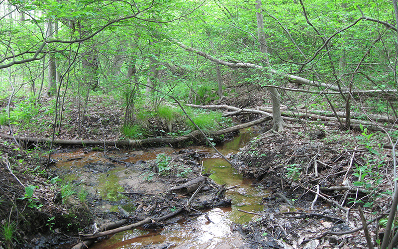 Port Sheldon Natural Area